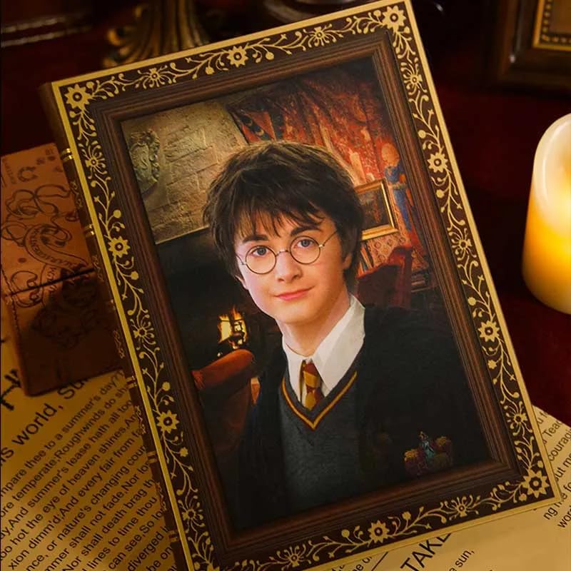 Harry Potter Face Changing Diary
