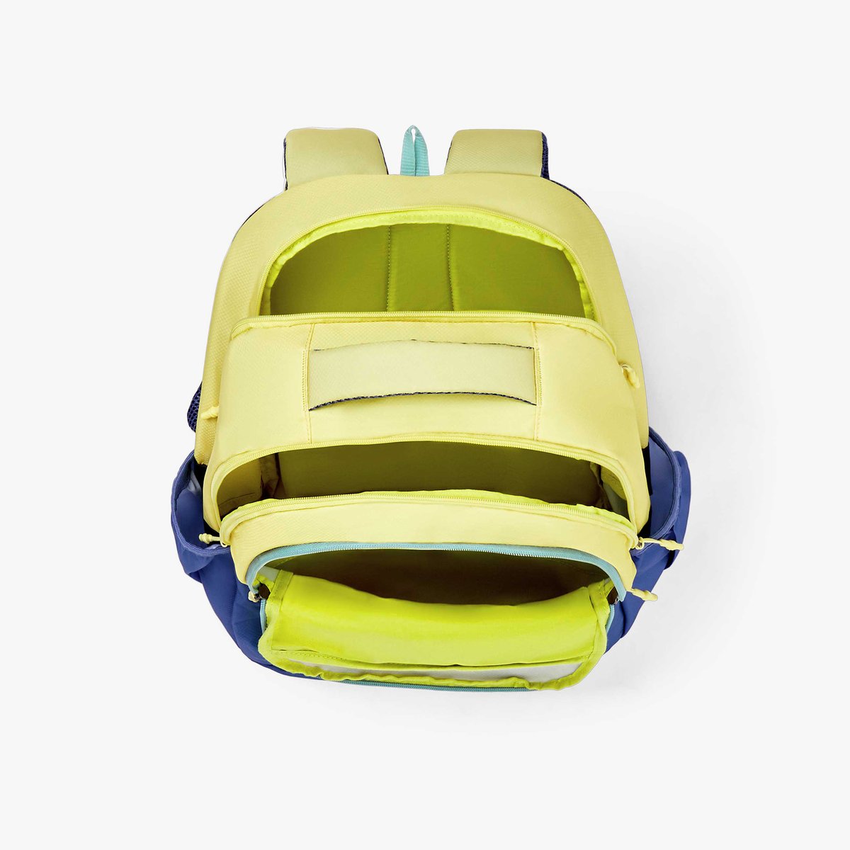 American Tourister Stan Backpack  Durable Printed Backpack