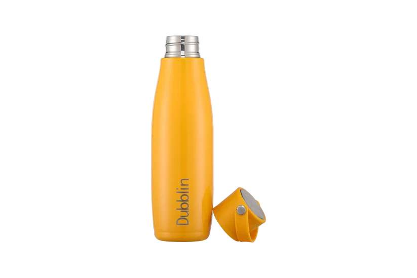 Dubblin Kiwi 700ML Stainless Steel Water Bottle