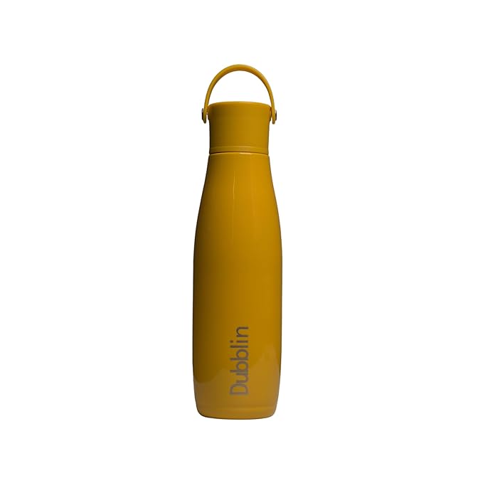 Dubblin Kiwi 700ML Stainless Steel Water Bottle