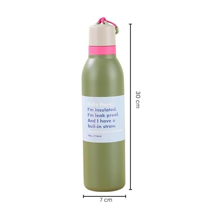 Insulated Water Bottle with Straw Lid 710ML Leak Proof Stainless Steel Bottle