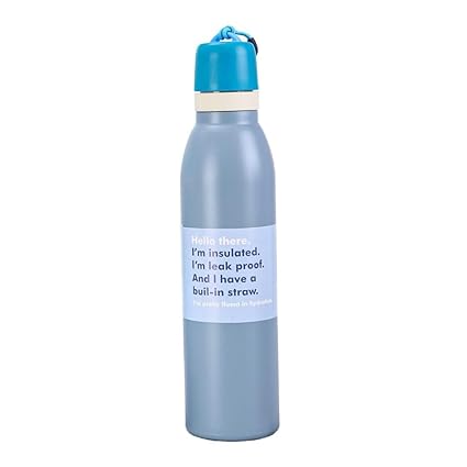 Insulated Water Bottle with Straw Lid 710ML Leak Proof Stainless Steel Bottle