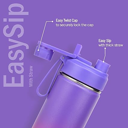 Briiton Swag 750ML Insulated Water Bottle