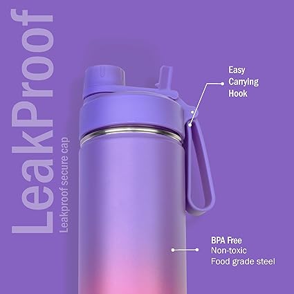 Briiton Swag 750ML Insulated Water Bottle