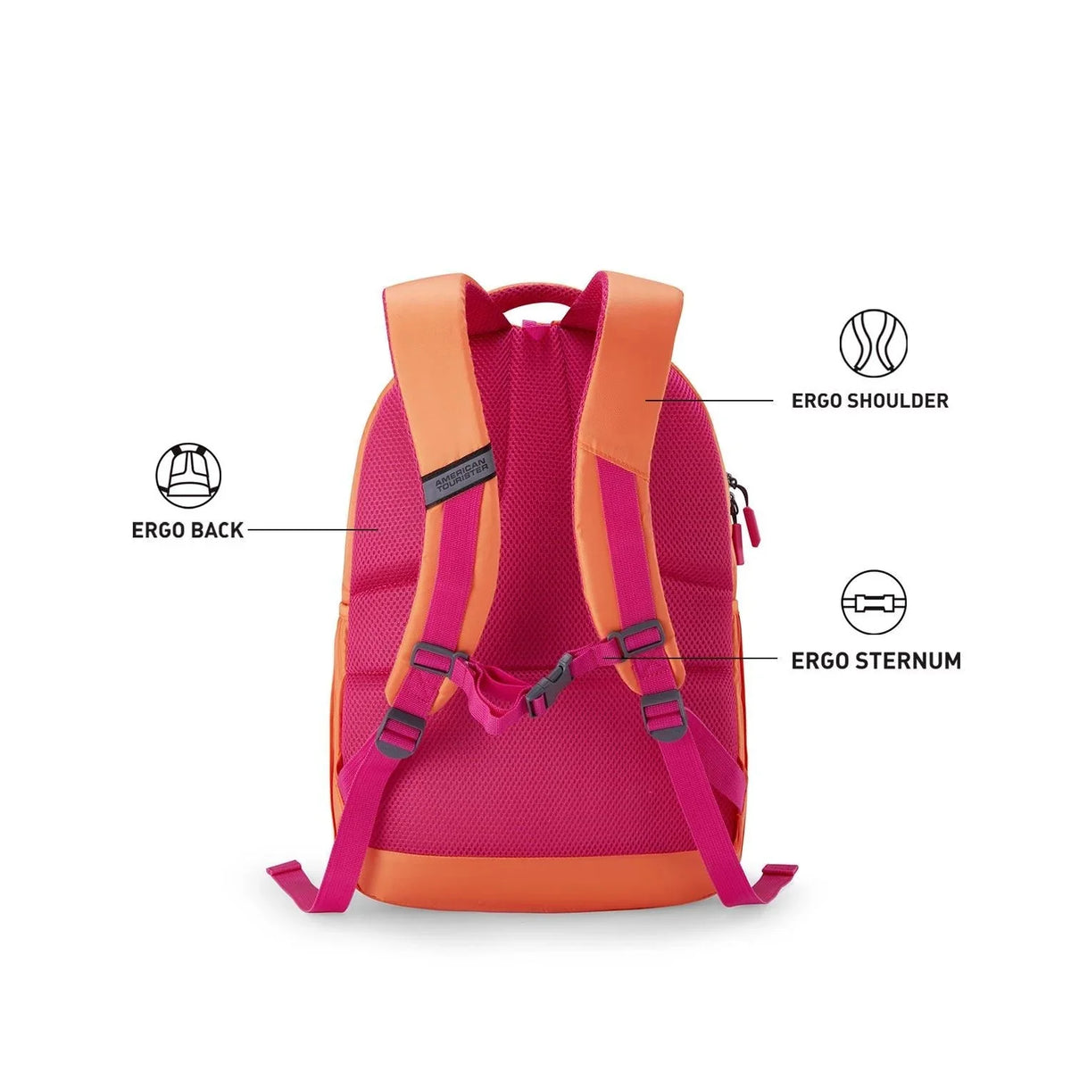 American Tourister Ollie 3.0 Backpack Durable 3 Compartment School & College Bag