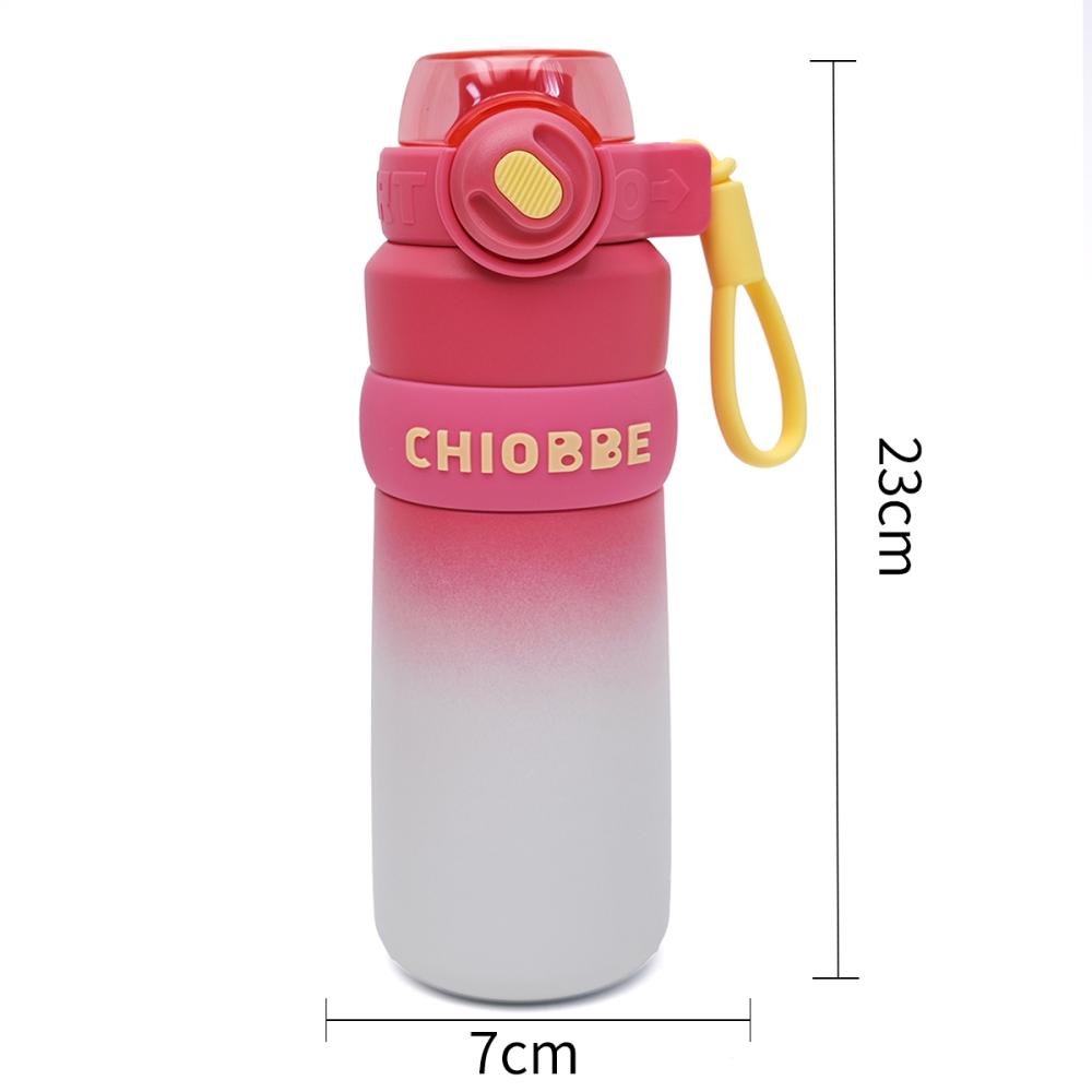 CHIOBBE Stainless Steel Water Bottle 560ml